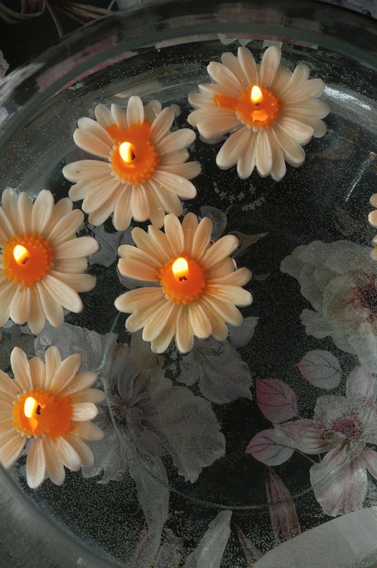 Floating Daisy Luxe Candle