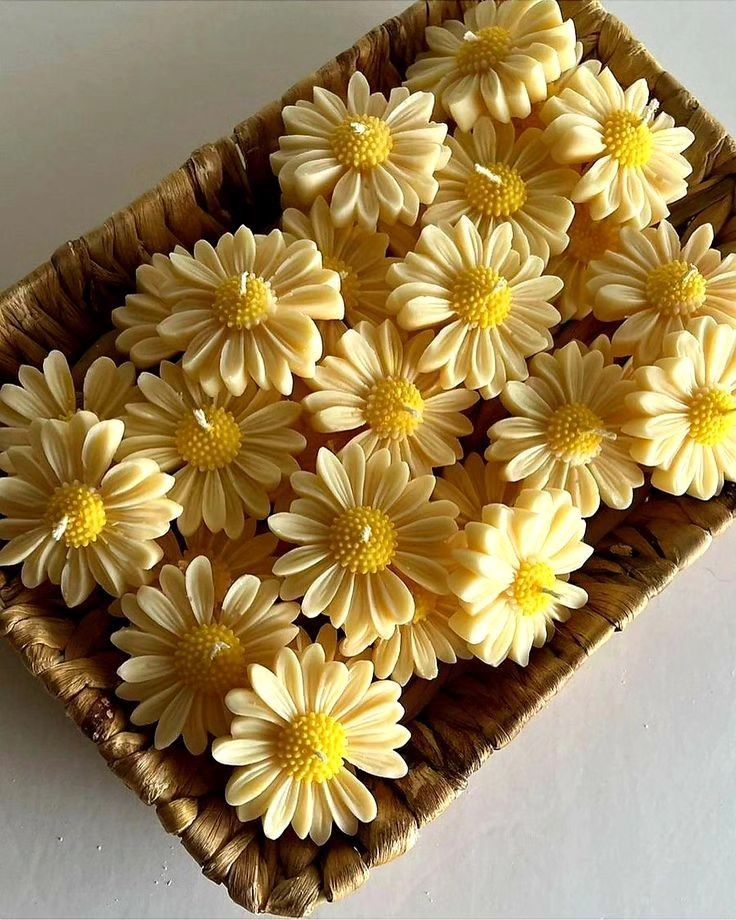 Floating Daisy Luxe Candle