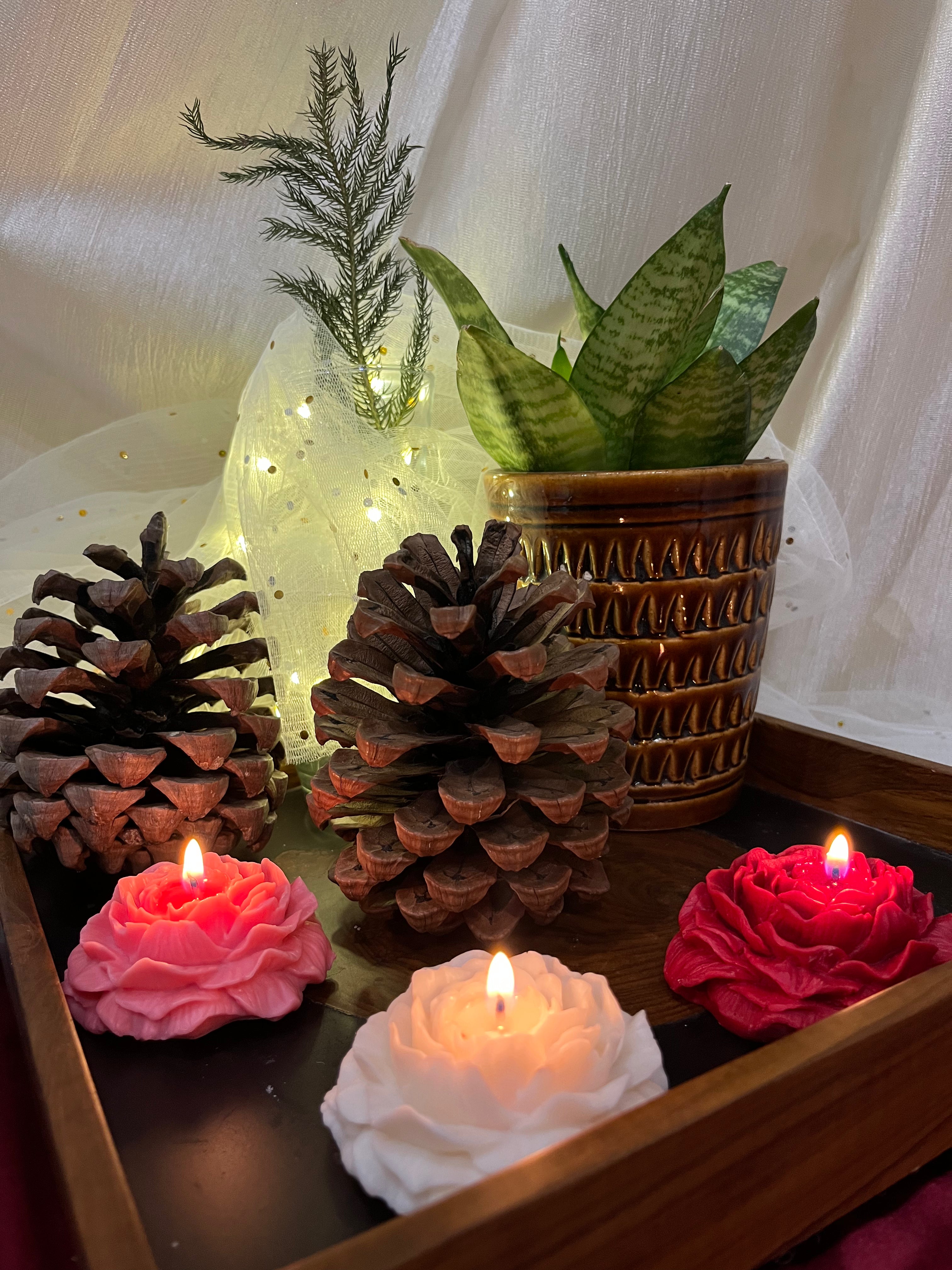 Luxury Rose Peony Scented Candles