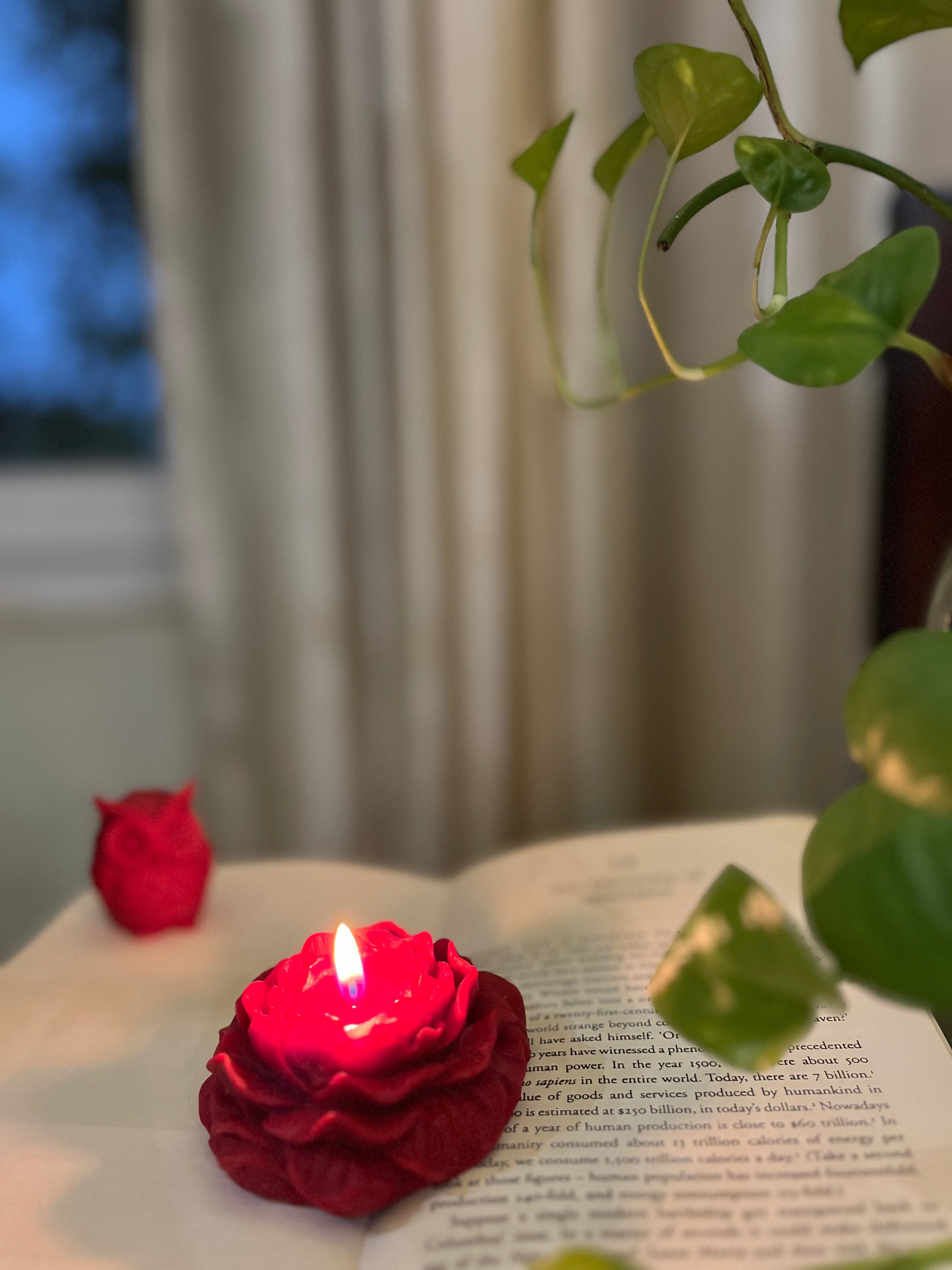 Luxury Rose Peony Scented Candles