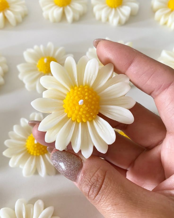 Floating Daisy Luxe Candle